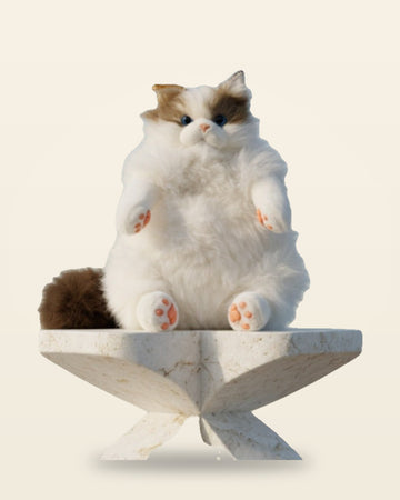 Kitty Bag Convertible Crossbody Shoulder Fit